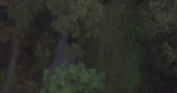 Fotocamera vola verso il basso il ponte di Kamianets-Podilski — Video Stock