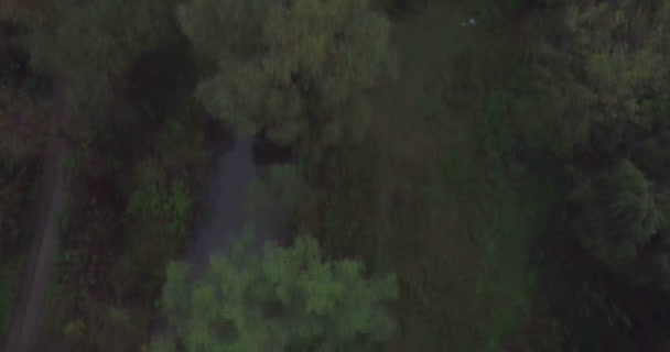 Caméra vole vers le bas du pont à Kamianets-Podilski 