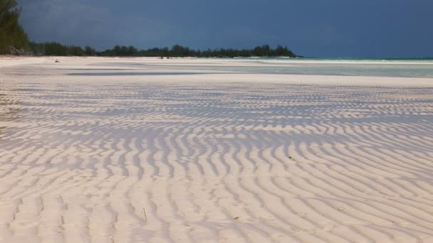 Wunderschöner lucayanischer Strand, grand bahama — Stockvideo