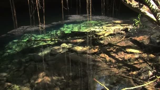 Głównej jaskini w Lucayan Park Narodowy na wyspie Wielka Bahama — Wideo stockowe