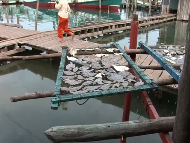 Il villaggio di pescatori Sihanoukville — Video Stock