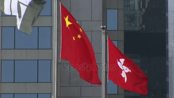 The Hong Kong and Chinese Flags Flying Together — Stock Video