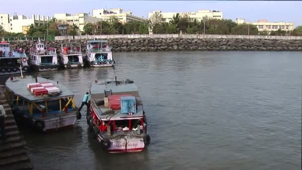 Färgstark trä färjor som trafikerar från Mumbai — Stockvideo