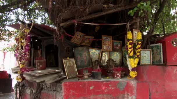 Bloemen en pictogrammen langs een kleine weg hindoe Shrine — Stockvideo