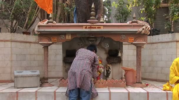 Человек молится в храме Мумбаи Шива — стоковое видео