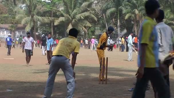 Indios jugando cricket en el Oval Maidan — Vídeos de Stock