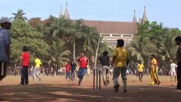 Indios jugando cricket en el Oval Maidan — Vídeos de Stock