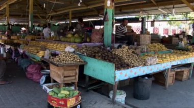 Orkide bir serada Perdana Botanik Bahçesi Kuala Lumpur içinde asılı