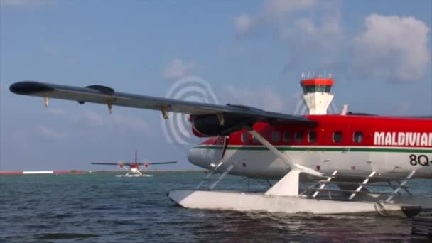 Maldivische Twin Otter watervliegtuig — Stockvideo