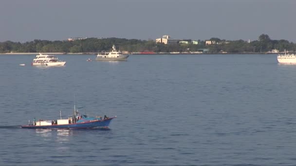 小渔船在男性中航行 — 图库视频影像