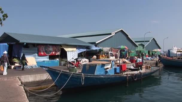 Pequeno barco de pesca ancorado em Masculino , — Vídeo de Stock