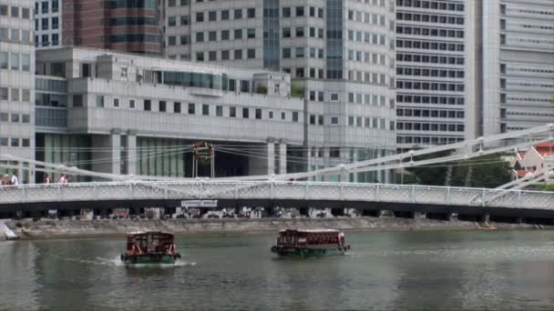 Tour El barco pasa por debajo del puente de Cavenagh — Vídeos de Stock