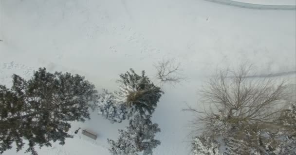 Kamera Střelba přímo dolů na sněhem pokryté borovicovými lesy — Stock video