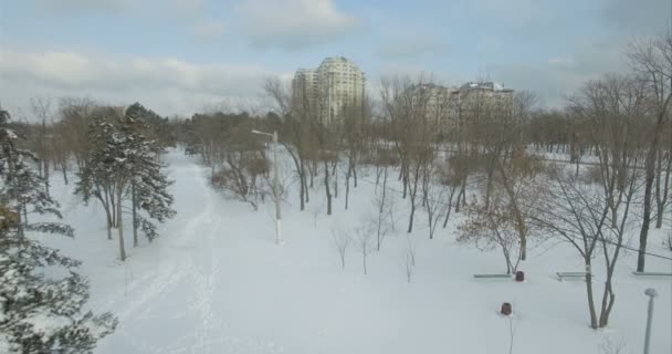 Fotocamera aerea vola oltre alberi di pino innevati — Video Stock