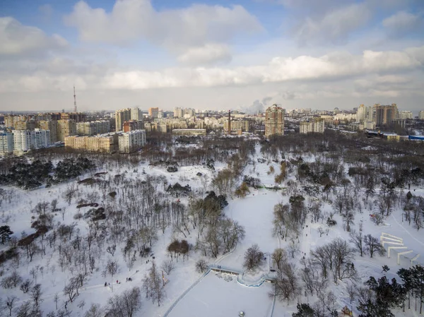 Аэрокамера снимает заснеженные сосны в парке Победы Одесса — стоковое фото