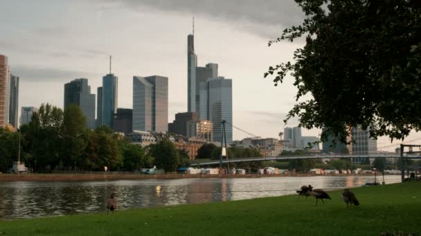 Statische Flache Morgenaufnahme Der Frankfurter Skyline Und Des Mainufers Vordergrund — Stockvideo