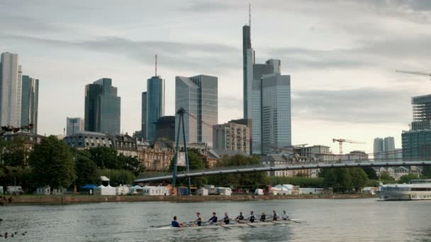 低角度夹子河扼要和法兰克福天际清晨 Coxed 划船和河游船优雅的夫人在河上 — 图库视频影像