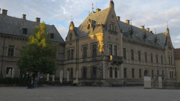 Statische Aufnahme Eines Alten Gebäudes Auf Der Prager Burg Der — Stockvideo