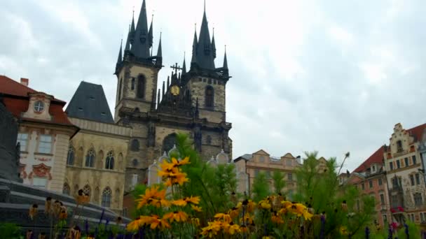 Kamera Erhebt Sich Von Den Blumenbeeten Die Liebfrauenkirche Altstadtplatz Prag — Stockvideo