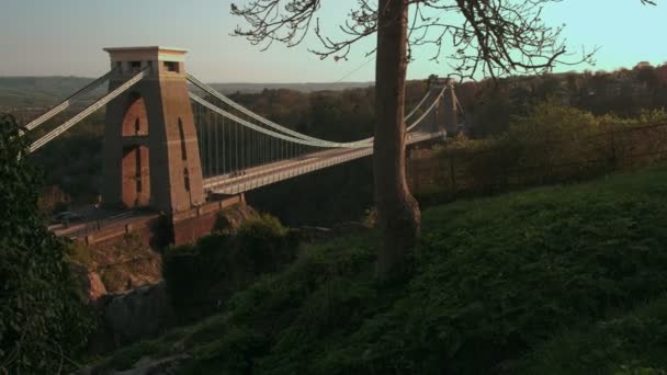 Cámara Desliza Más Allá Del Árbol Con Puente Colgante Clifton — Vídeo de stock