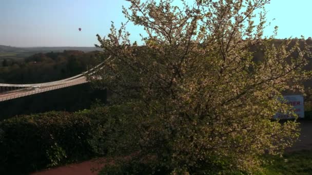 Câmeras Atrás Árvore Florescente Para Clifton Suspension Bridge Atrás Tiro — Vídeo de Stock