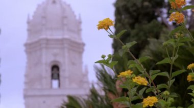 Lizbon, Portekiz 'deki Empire Square' de çiçek açan statik klipsi. Arka planda Santa Maria de Belem kilisesinin çan kulesi var.