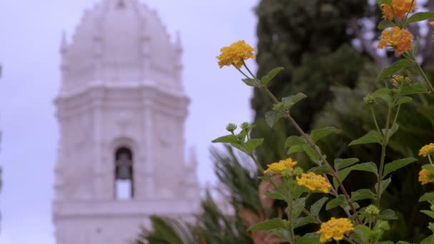 Clip Estático Flores Florecientes Plaza Del Imperio Lisboa Portugal Campanario — Vídeos de Stock