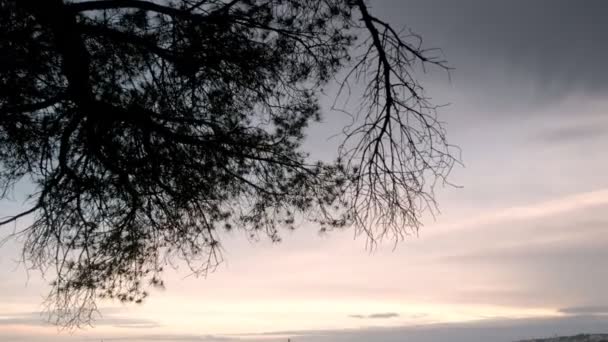 黄昏时分从圣若尔热城堡俯瞰里斯本全景 从树木丛中俯瞰 — 图库视频影像