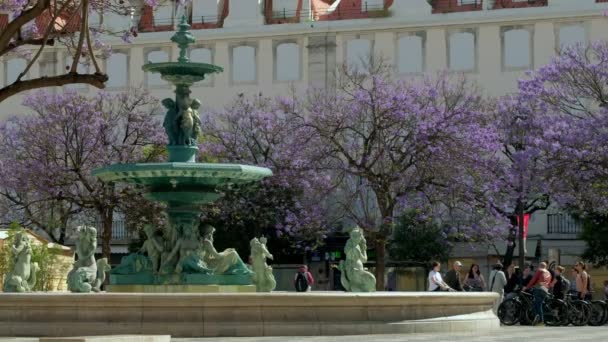 ロッシオ広場リスボンのジャカランダの木を開花させ 噴水で囲まれた — ストック動画