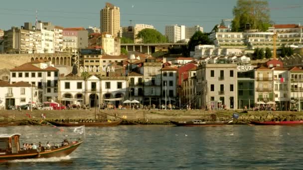 Vila Nova Gaia Vila Nova Gaia 2019年5月12日 葡萄牙多罗河上的彩色旅游船 以酒窖为背景的著名盖亚长廊 — 图库视频影像