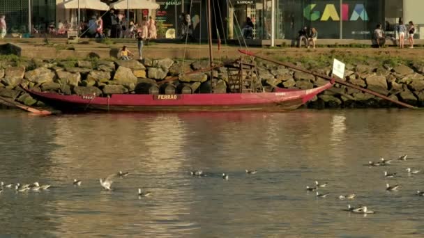 Telefoto Una Barca Rabelo Sulle Rive Del Fiume Douro Porto — Video Stock