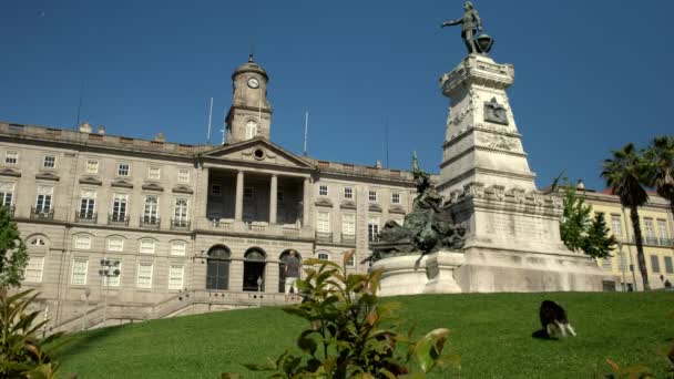 Porto Portugal Maio 2019 Cão Correr Relvado Verde Praça Infante — Vídeo de Stock