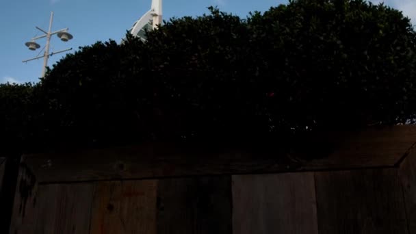 Kamera Podnosi Się Zza Krzaków Ujawnić Wieżę Spinnakera Nabrzeże Gunwharf — Wideo stockowe