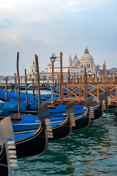 Mattina Presto Gondole Piazza San Marco Venezia Con Santa Maria — Foto Stock