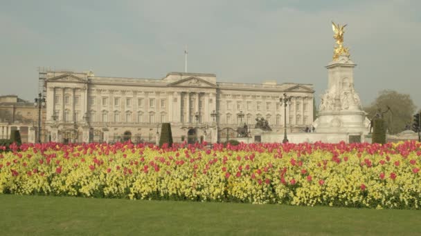 Statische Brede Opname Van Een Prachtig Bloembed Voor Buckingham Palace — Stockvideo