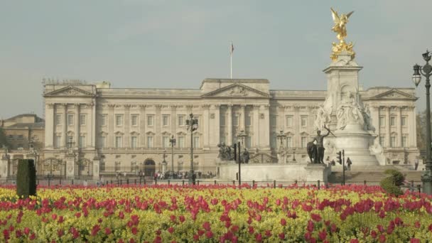 Vídeo Estático Hermoso Parterre Frente Victoria Memorial Palacio Buckingham Londres — Vídeos de Stock