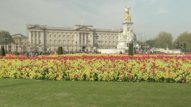 春のロンドンのヴィクトリア記念館とバッキンガム宮殿の近くの美しい花壇の前で左にカメラの動き — ストック動画