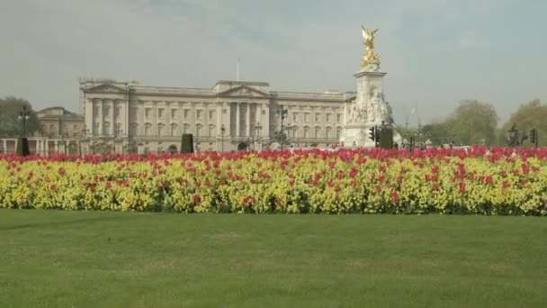 春の間にロンドンのビクトリア記念館とバッキンガム宮殿の前で美しい花壇を明らかにするためにカメラが立ち上がります — ストック動画