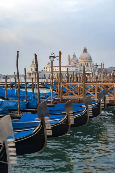 Manhã Cedo Gôndolas Praça San Marco Veneza Com Santa Maria — Fotografia de Stock