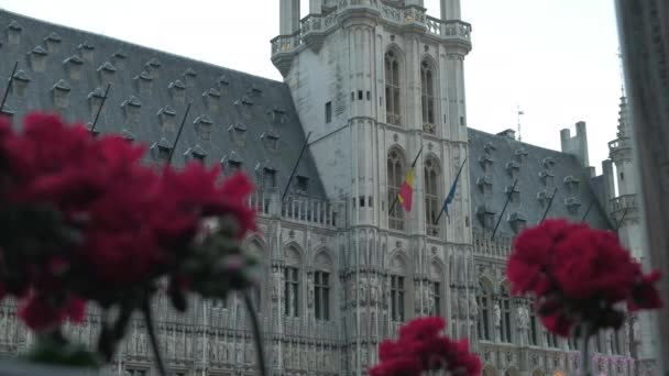 Statisk Video Fasaden Bryssels Stadshus Grand Place Belgien Tagen Gryningen — Stockvideo