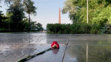 Şevçenko Parkı, Odessa Ukrayna 'daki Meçhul Denizci Anıtı ve Şöhret Sokağı' nı gözler önüne sermek için kameralar çiçeklerin önünden kayıyor.