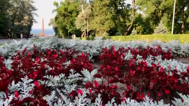 Caméra Lève Pour Révéler Allée Gloire Monument Marin Inconnu Dans — Video