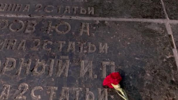 Câmera Inclina Rápido Flor Memorial Para Revelar Beco Glória Monumento — Vídeo de Stock