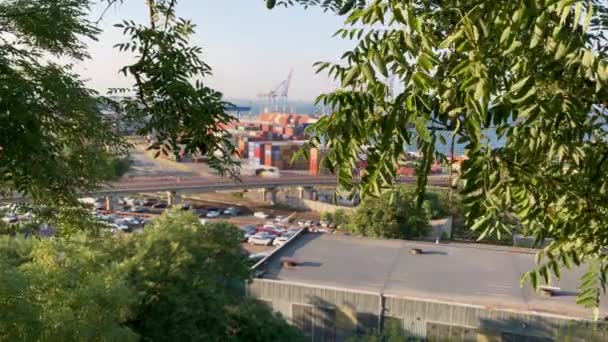 Înclinat Din Copaci Pentru Dezvălui Portul Odessa Din Parcul Șevcenko — Videoclip de stoc
