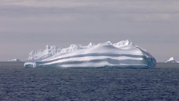 Iceberg Forma Interessante Flutuando Mar Perto Península Antártica Antártida — Vídeo de Stock