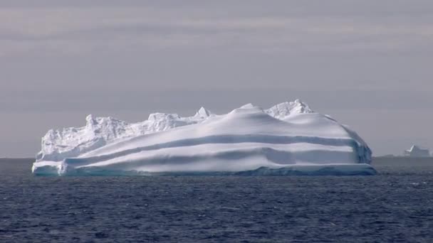 Gran Iceberg Flotando Mar Cerca Península Antártica Antártida — Vídeos de Stock
