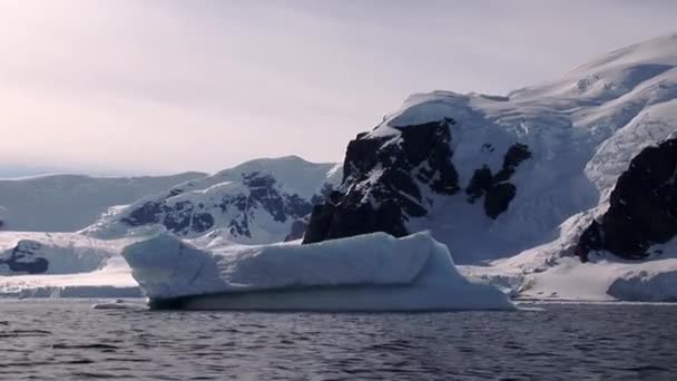 Камера Следует Плавающим Айсбергом Бухте Нэко Яркий Спокойный День Антарктида — стоковое видео