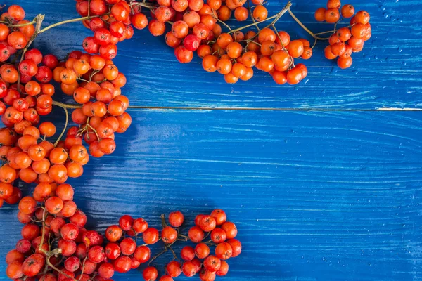 Rowanberries ile sonbahar kompozisyon 