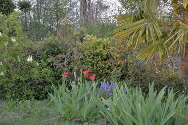 Çiçekli bahar arkaplanı