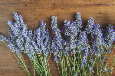 Lavanta çiçekleri yığını 